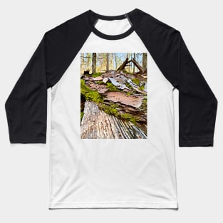 Fairy Land of Moss and Bark Baseball T-Shirt